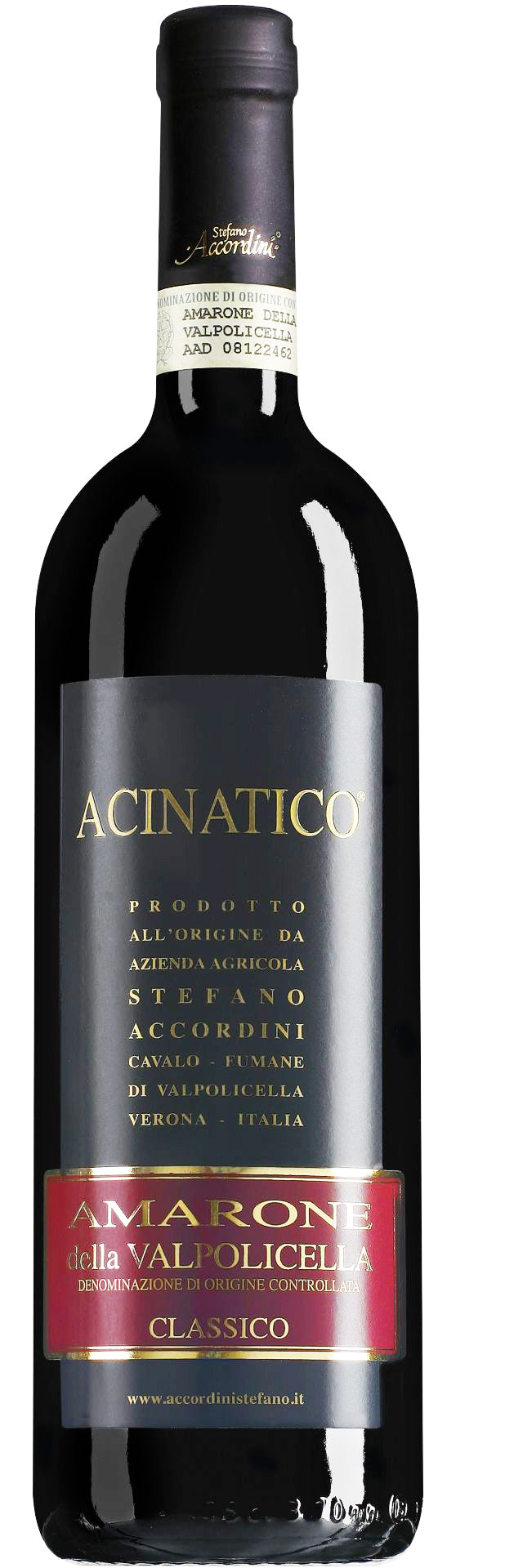 Stefano Accordini Acinatico Amarone